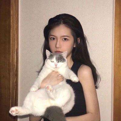 修仙记h5游戏下载